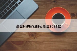 高合HiPhiY油耗/高合2021款