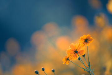 【上海新增一个中风险地区,上海新增2中风险】