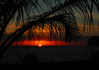 【成都新增本土确诊病例,成都新增本土确诊病例3例】