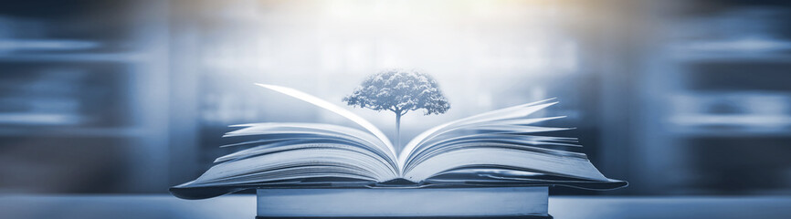 最新款Q7销量/2022款q7上市时间