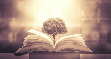 林肯有哪些车型/林肯有哪些车型是六个座位