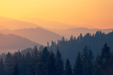 黑龙江新增确诊56例/黑龙江新增68例确诊 新闻