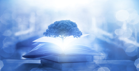 全国新增本土16例(全国新增本土病)