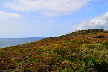 太原发现1例/太原发现一例新型肺炎