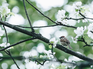 31省份新增本土确诊53例涉及8省(31省新增本土确诊93例)