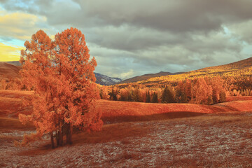 【石家庄防疫最新情况,石家庄防疫情措施】