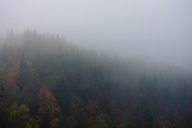 浙江宁波新增6例确诊病例(宁波具体新增病例明细)