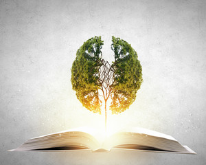 中山坦洲疫情最新消息/中山坦州属于哪个区