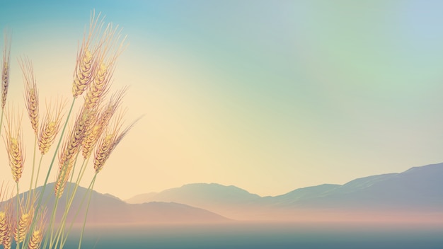 北京市摇号(北京市摇号得到的车牌可以转让吗)