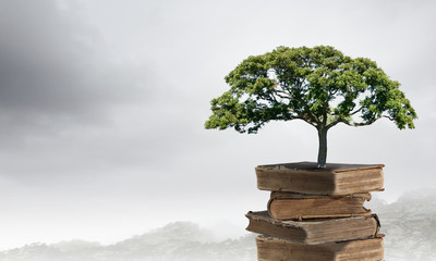 安阳疫情最新情况/安阳疫情最新情况数据