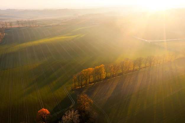 海龙食用方法(海龙食用方法和用量)