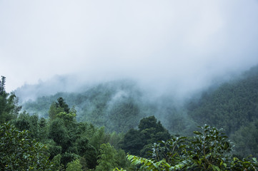 长方形卧室家具摆放6(长方形的卧室怎么放家具和床好看)